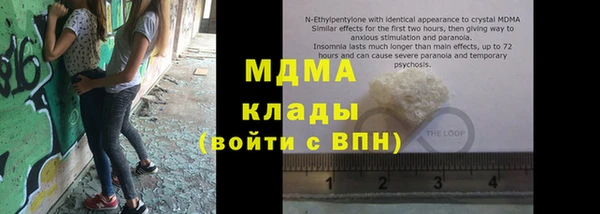 стаф Инта