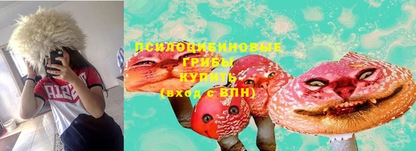 молекула духа Армянск