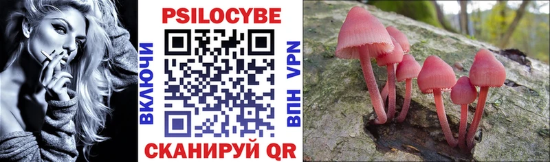 Галлюциногенные грибы Psilocybe mega Заринск где найти наркотики